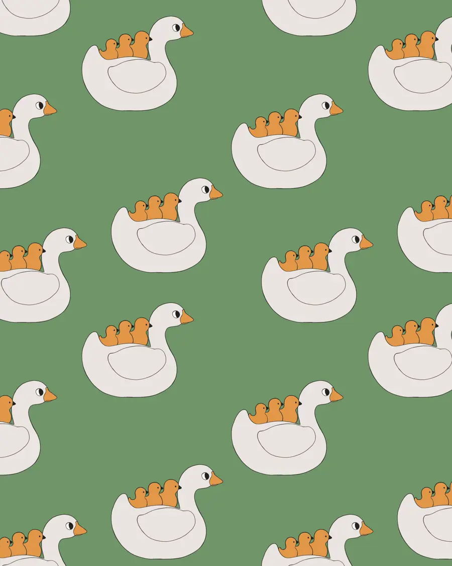 //www.kadodesign.nl/media/charlotte_swan.jpg
